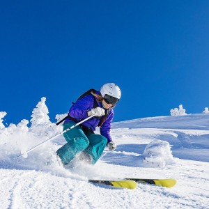 kaiyun入口-暗夜星辰，穆雷三季逆袭，日本球迷为何集体沸腾？暗夜星辰中崛起，穆雷三季逆袭为何令日本球迷沸腾？