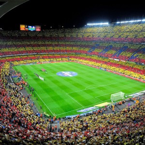 开云官网-风云突变，鹈鹕签约背后的连锁反应与浙江队里程碑时刻，鹈鹕签约引发连锁反应，浙江队同期迎里程碑时刻